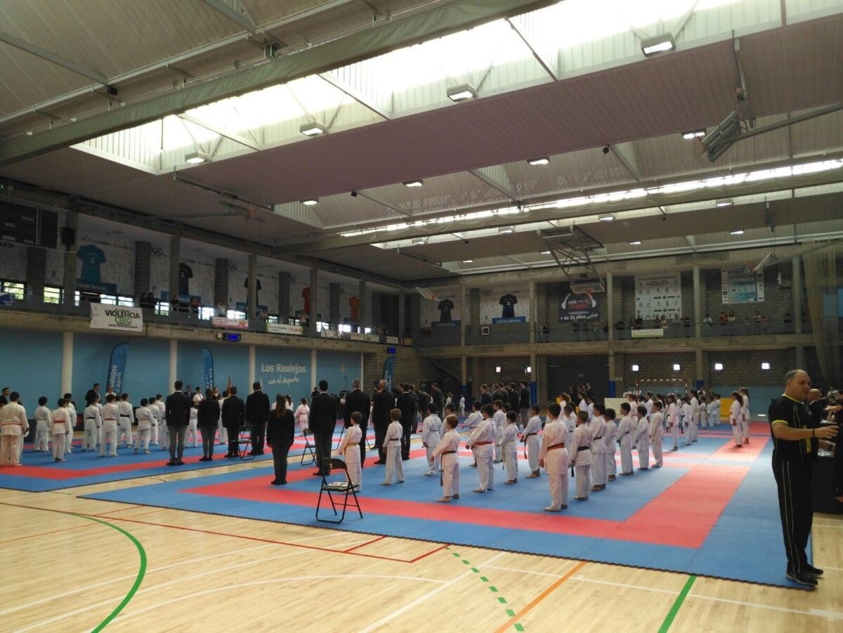 Práctica deportiva en tatami